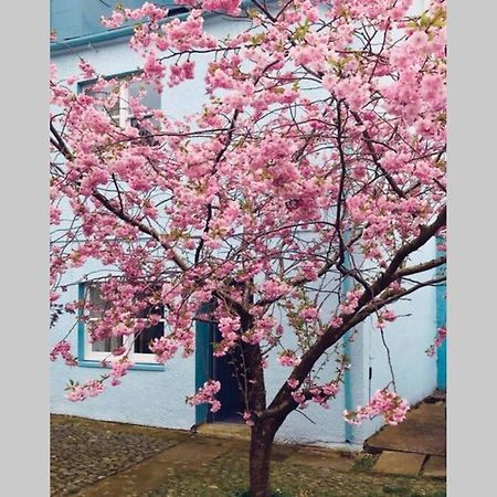 Albion Cottage コッカーマス エクステリア 写真